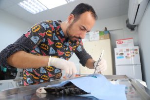 Hayvan Dostu Belediye..